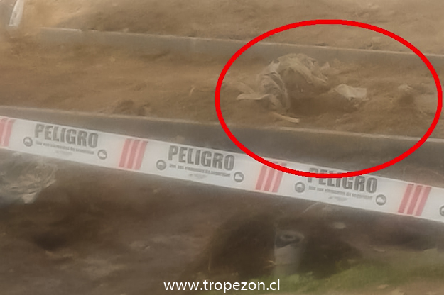 Osamenta humana es hallada envuelta en bolsas de nailon en Pudahuel