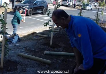 Organización de seguridad ciudadana planta árboles en Pudahuel