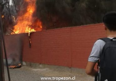 Incendio de árboles colindantes a escuela causa temor en el alumnado en Pudahuel sur