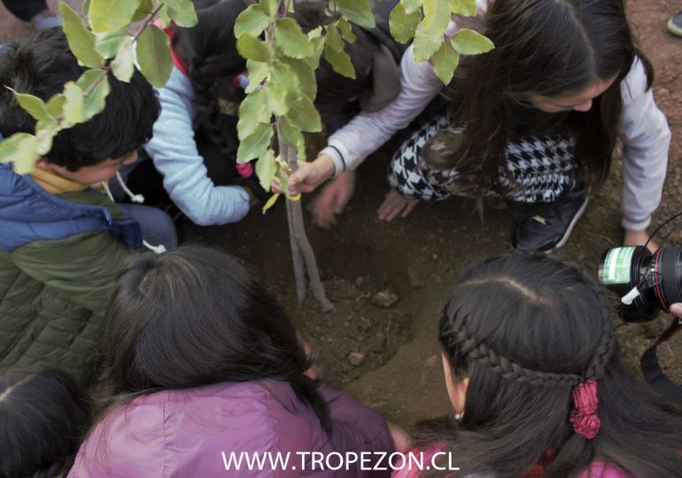 Niños y niñas plantan árboles para expresar descontento por construcción de edificios