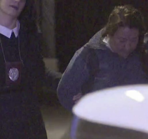 En Cerro Navia es capturada mujer que dio muerte a su padre en Pudahuel
