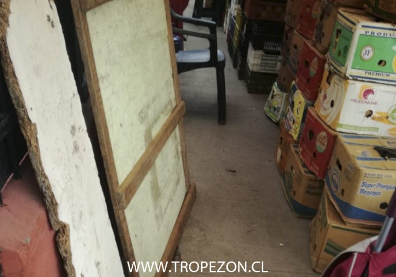 Molestia de vecinos por utilización de veredas en feria libre de Serrano en Pudahuel