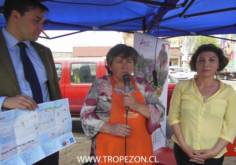 Ferias Libres de Cerro Navia realizan campaña informativos parta sus usuarios
