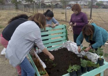 Gran iniciativa: Vecinos de Pudahuel cultivan sus propias frutas y verduras