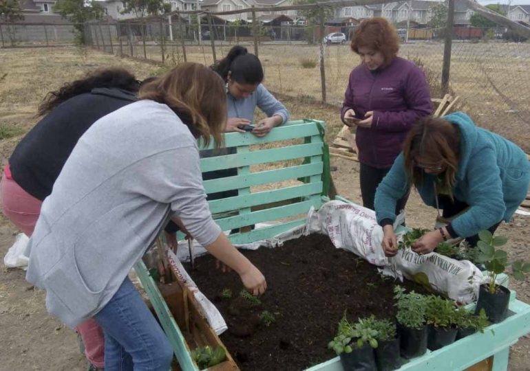 Gran iniciativa: Vecinos de Pudahuel cultivan sus propias frutas y verduras