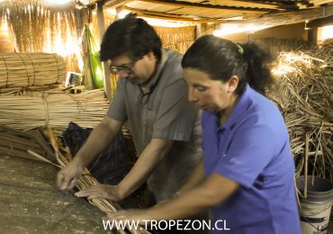 Tejido en Totora: Artesanos al rescate del patrimonio y la sustentabilidad
