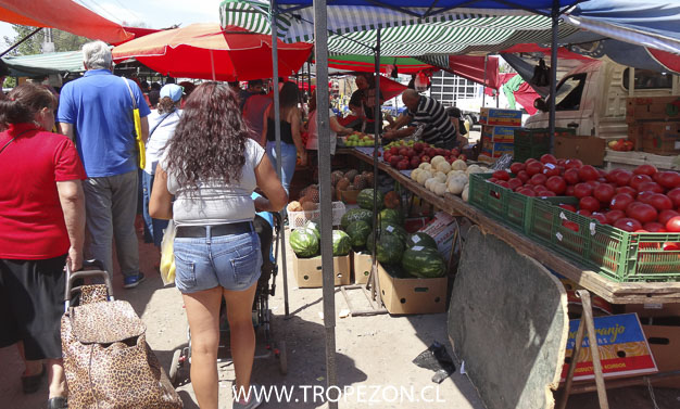 Feria libre en Pudahuel norte no adhiere al Paro Nacional y funciona con normalidad