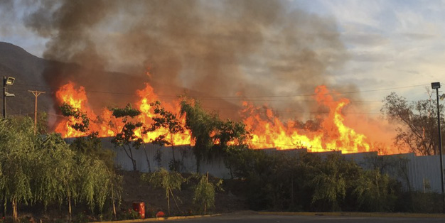 Alerta roja en Pudahuel por incendio forestal