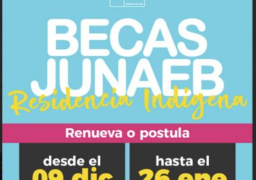 Miles de estudiantes de la RM aún no renuevan sus becas Junaeb