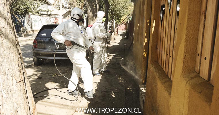 Dos vecinos se la juegan desinfectando casas en Pudahuel