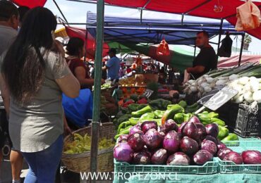 Comerciantes de ferias libres se realizarán examen PCR para garantizar atención segura