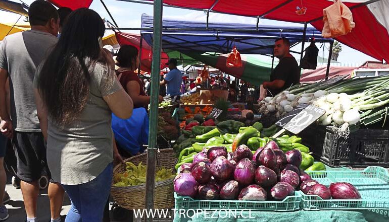 Comerciantes de ferias libres se realizarán examen PCR para garantizar atención segura