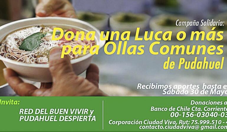 Agrupación “Pudahuel Despierta” invita a participar en la campaña “una luca o más para las Ollas comunes”