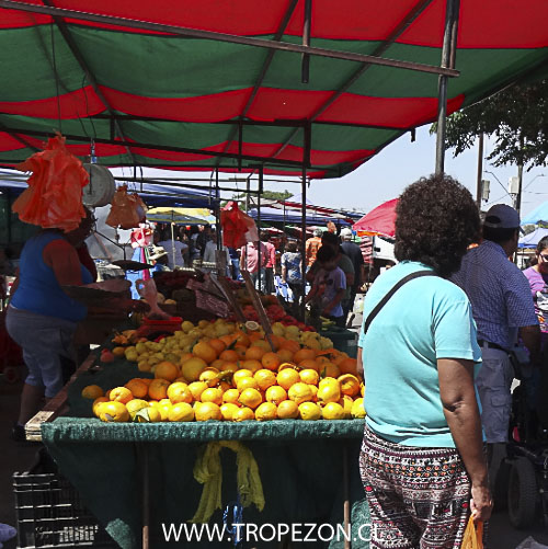 Ferias libres vuelven a funcionar el fin de semana en Pudahuel y Cerro Navia