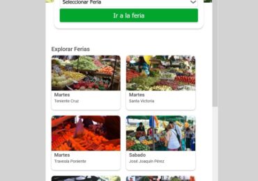 Feriantes de Pudahuel por aplicación de compra virtual: “Se está entregando 10 o 15 pedidos a la semana”