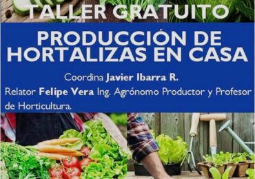 Anótalo: Vecino de Pudahuel invita a taller “Producción de hortalizas en casa” totalmente gratis