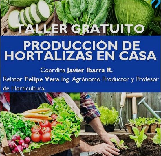 Anótalo: Vecino de Pudahuel invita a taller “Producción de hortalizas en casa” totalmente gratis