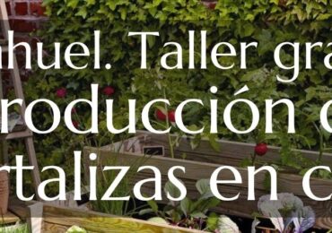 Vecino impartirá segunda parte de taller Producción de Hortalizas en Casa” en Pudahuel
