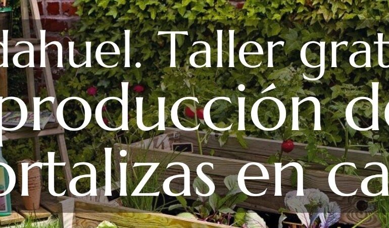 Vecino impartirá segunda parte de taller Producción de Hortalizas en Casa” en Pudahuel
