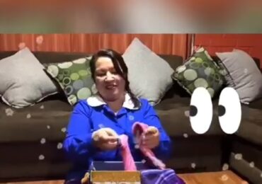 Clases por Zoom y videos interactivos: El desafío de los jardines infantiles en pandemia