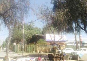 Tres árboles resultaron dañados por quema de desechos en bandejón de Teniente Cruz al llegar a JJ. Pérez.
