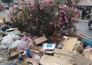 A cuidar la comuna: Arbusto rodeado de basura en un sector con poca área verde en Pudahuel