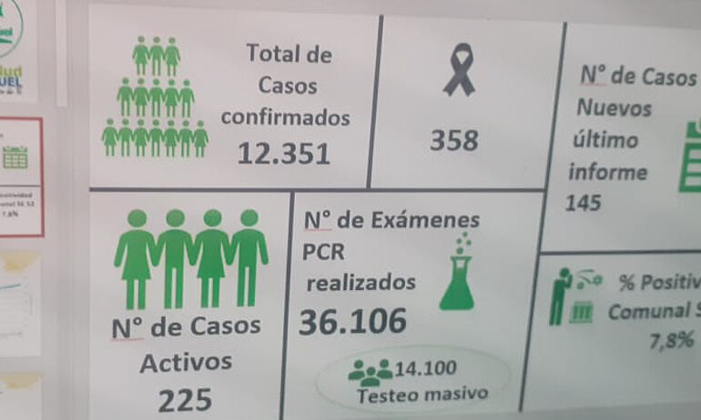 358 vecinos y vecinas han perdido la vida por causa del coronavirus en Pudahuel