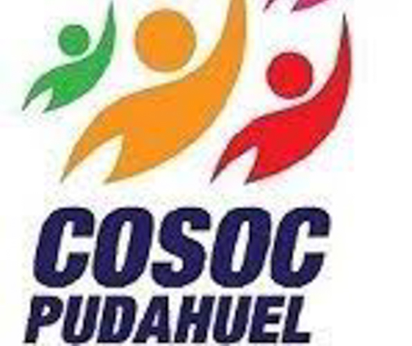 Asumen cuatro nuevos representantes del Consejo Comunal de Organizaciones de la Sociedad Civil en Pudahuel