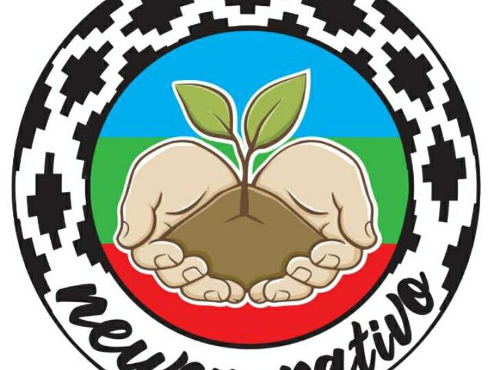 Newen Nativo: La Fundación autogestionada que siembra árboles autóctonos en Pudahuel
