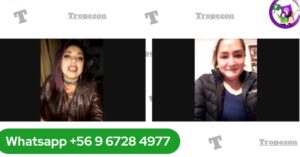 programa reciclaje