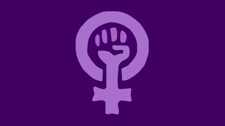 Concejo Municipal declara al municipio de Cerro Navia como feminista