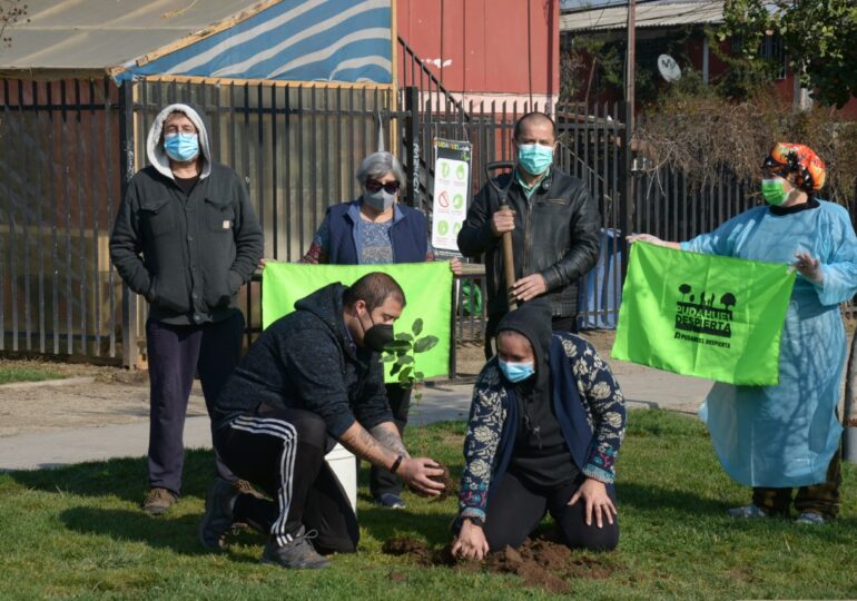 Pudahuel Despierta planta árboles nativos en la comuna