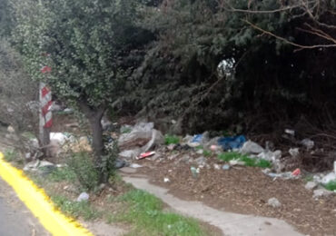 Tramo de vereda cubierto por matorrales y basura impide el paso de peatones en Pudahuel