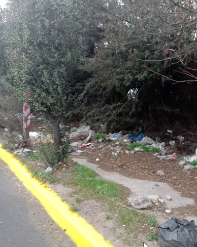 Tramo de vereda cubierto por matorrales y basura impide el paso de peatones en Pudahuel