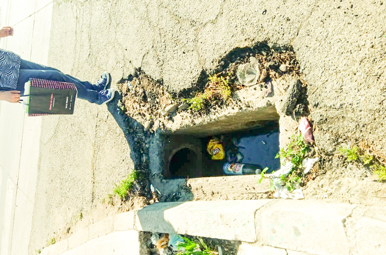 Roban reja metálica de protección de seguridad en recinto de evacuación de agua lluvias en Pudahuel