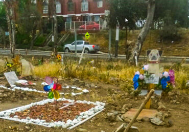 Decenas de personas han acudido a “cementerio de mascotas” en sector público de Pudahuel