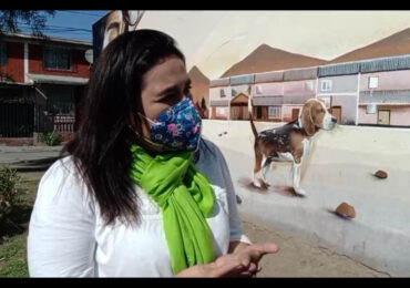 Daniela Cabezas, candidata a senadora por la UDI: “Tenemos que seguir trabajando la conexión con la gente”