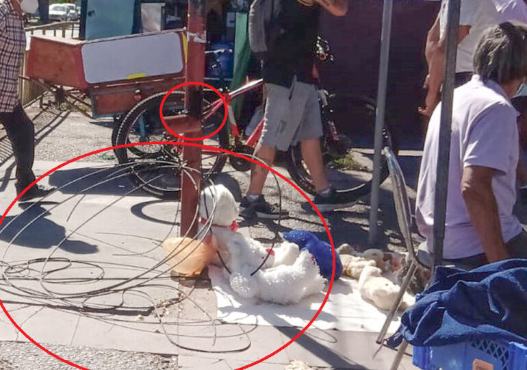 Cables cortados y otros adosados a poste metálico son un peligro para transeúntes en Pudahuel