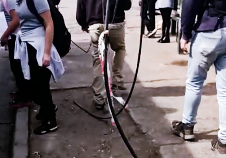 Roban cables del tendido aéreo y otros quedan cortados a centímetros del suelo en Pudahuel