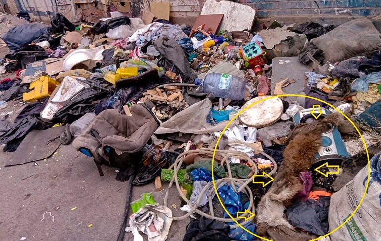 Expectación causa en vecinas cueros de mascotas en basural clandestino en Pudahuel