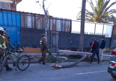 Bus transporte privado de pasajeros se enreda con cables y derriba árbol y poste en Pudahuel