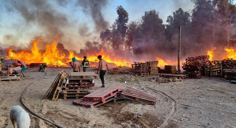 Incendio destruye fábrica de pallet de madera en Pudahuel rural