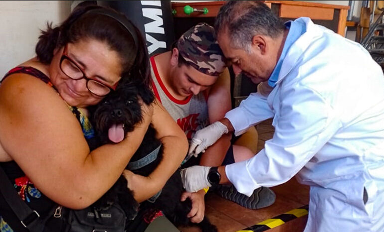 Exitoso operativo social y veterinario es realizado durante este domingo en Pudahuel