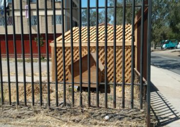 Maltrato animal: Vecino denuncia que hay un perro encerrado en jaula hace más de tres meses en Pudahuel