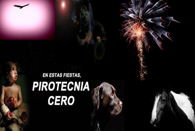 Los efectos y consecuencias de la pirotecnia en personas TEA, adultos mayores y animales domésticos