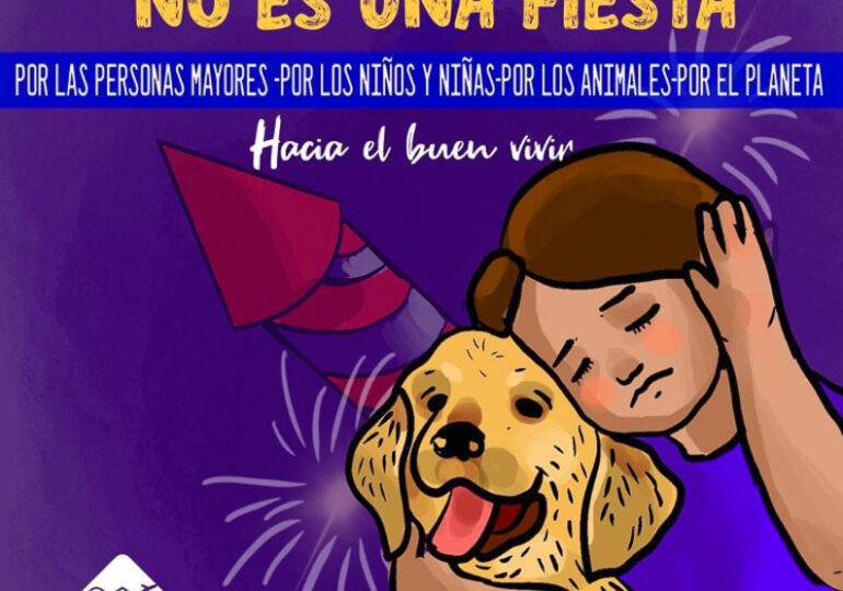 No habrá show pirotécnico de fuegos artificiales por celebración de un nuevo año en Pudahuel