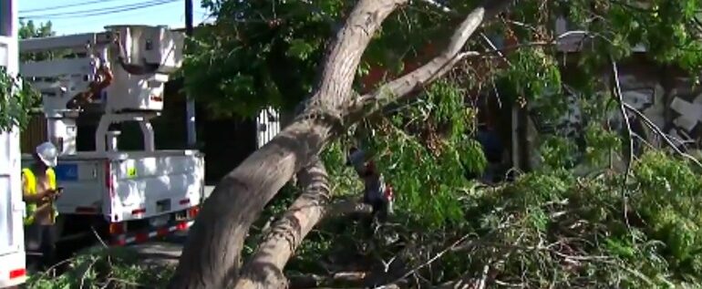 Árbol cae en Avenida los Mares y queda suspendido el transito por varias horas en Pudahuel