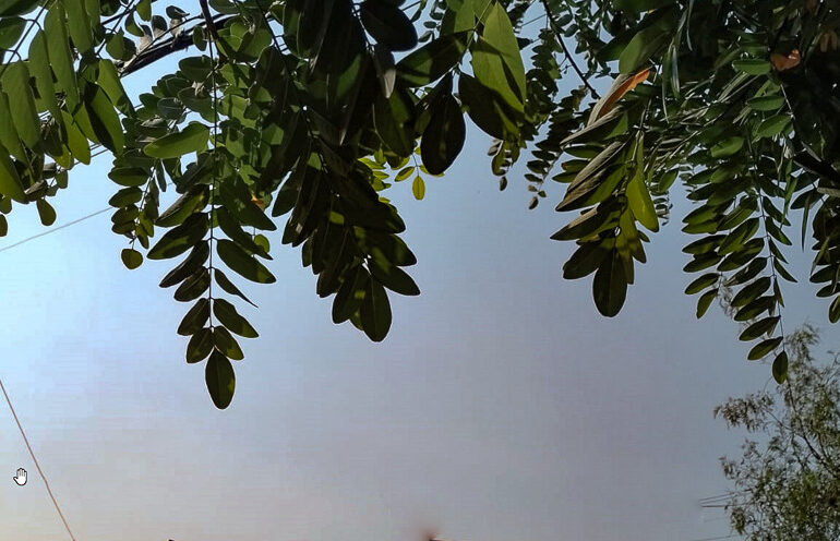 Incendios forestales: Humo llega a Santiago y preocupa a adultos mayores y embarazadas