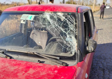 Árbol cae al paso de un automóvil y deja a su conductor lesionado en Pudahuel rural