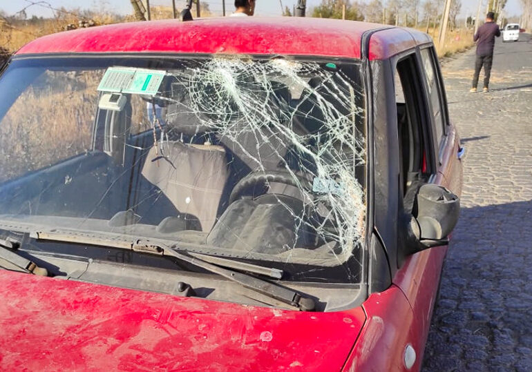 Árbol cae al paso de un automóvil y deja a su conductor lesionado en Pudahuel rural
